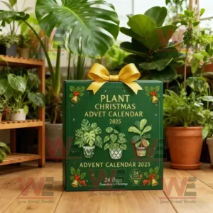 Plant Christmas Advent Calendar 2025 surrounded by indoor plants in a cozy room.