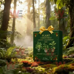 plant christmas advent calendar 2025 img 14 yW3oK