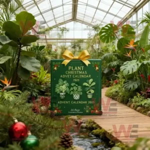plant christmas advent calendar 2025 img 17 DA1vU