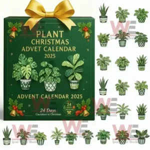 plant christmas advent calendar 2025 img 19 4CX1c
