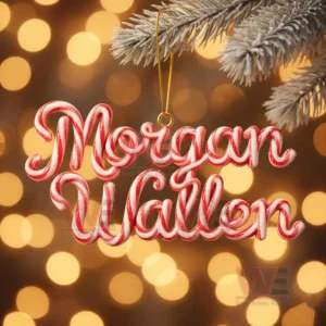 HOT Morgan Wallen Christmas Ornament 10 Morgan Wallen candy cane styled name ornament hanging on a Christmas tree with golden lights in the background!