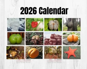 Natures Butt 2026 Wall Calendar 13 natures butt 2026 calendar img 6 zMoCn