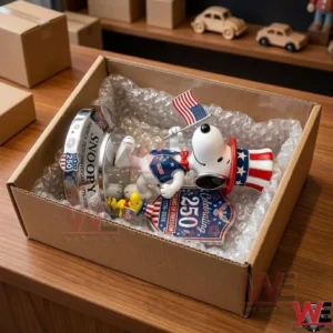 An open cardboard box with a Snoopy figure inside surrounded by bubble wrap!