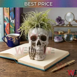 Skull planter with air plants on a desk!