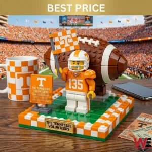 Building block set of a sports team mascot and football!