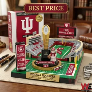 A collectible building block set of a football stadium with a championship trophy and player figure.
